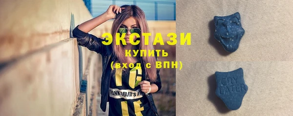 амф Гусь-Хрустальный