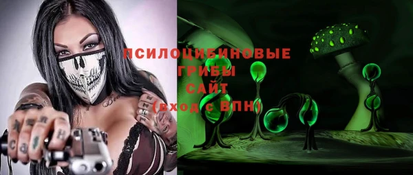 МДПВ Гусиноозёрск