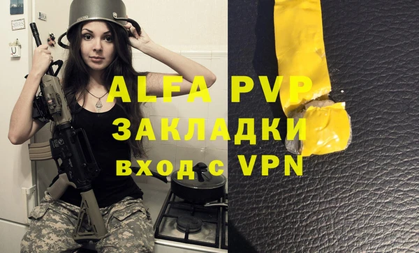 амф Гусь-Хрустальный