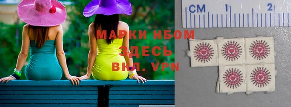 прущие грибы Хадыженск