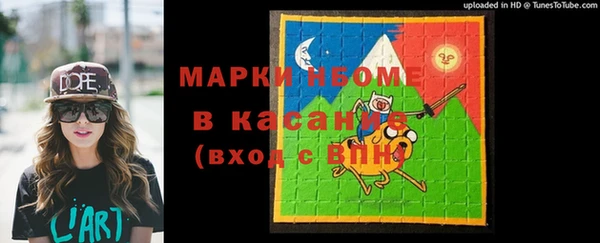 мдпв Гусев