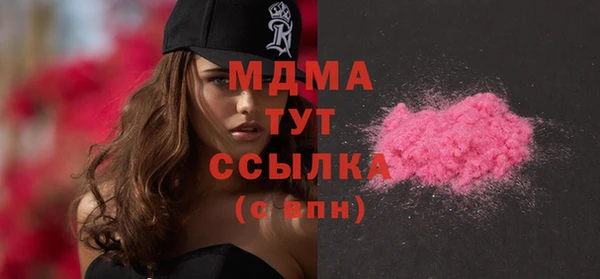 мдпв Гусев