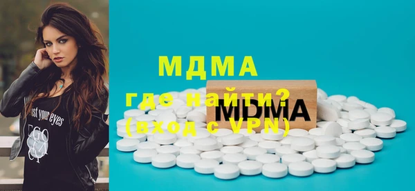 мдпв Гусев