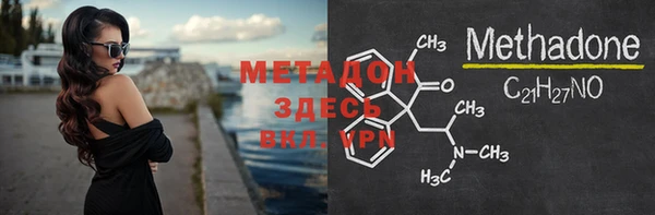 мдпв Гусев