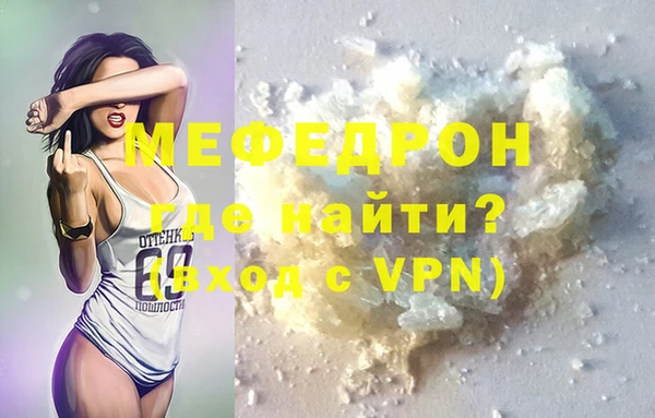 мдпв Гусев