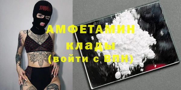 мдпв Гусев
