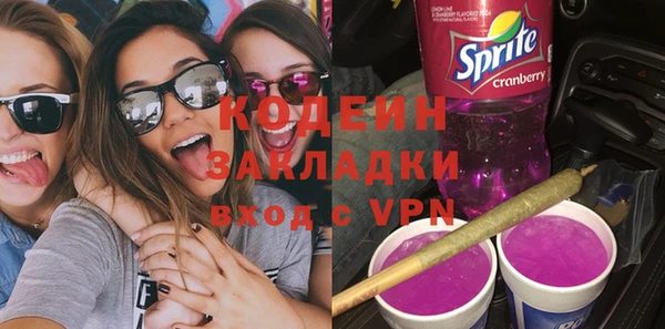 мдпв Гусев