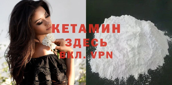 мдпв Гусев