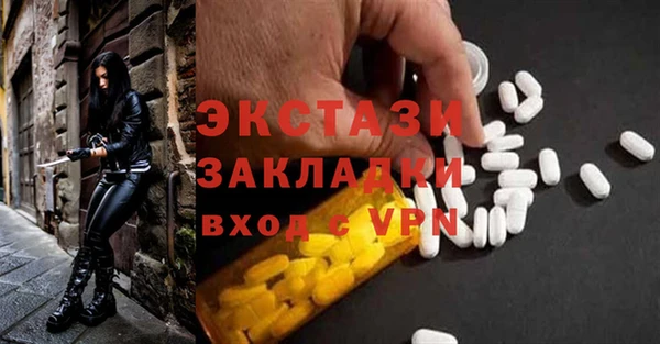 мдпв Гусев