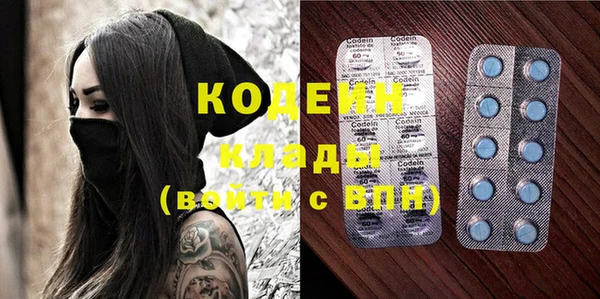 мдпв Гусев