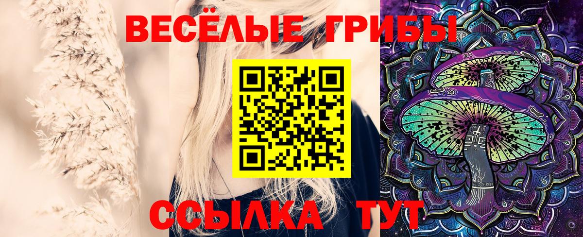 Галлюциногенные грибы Psilocybine cubensis  Вход с VPN  Псилоцибиновые грибы GOLDEN TEACHER  Моршанск 